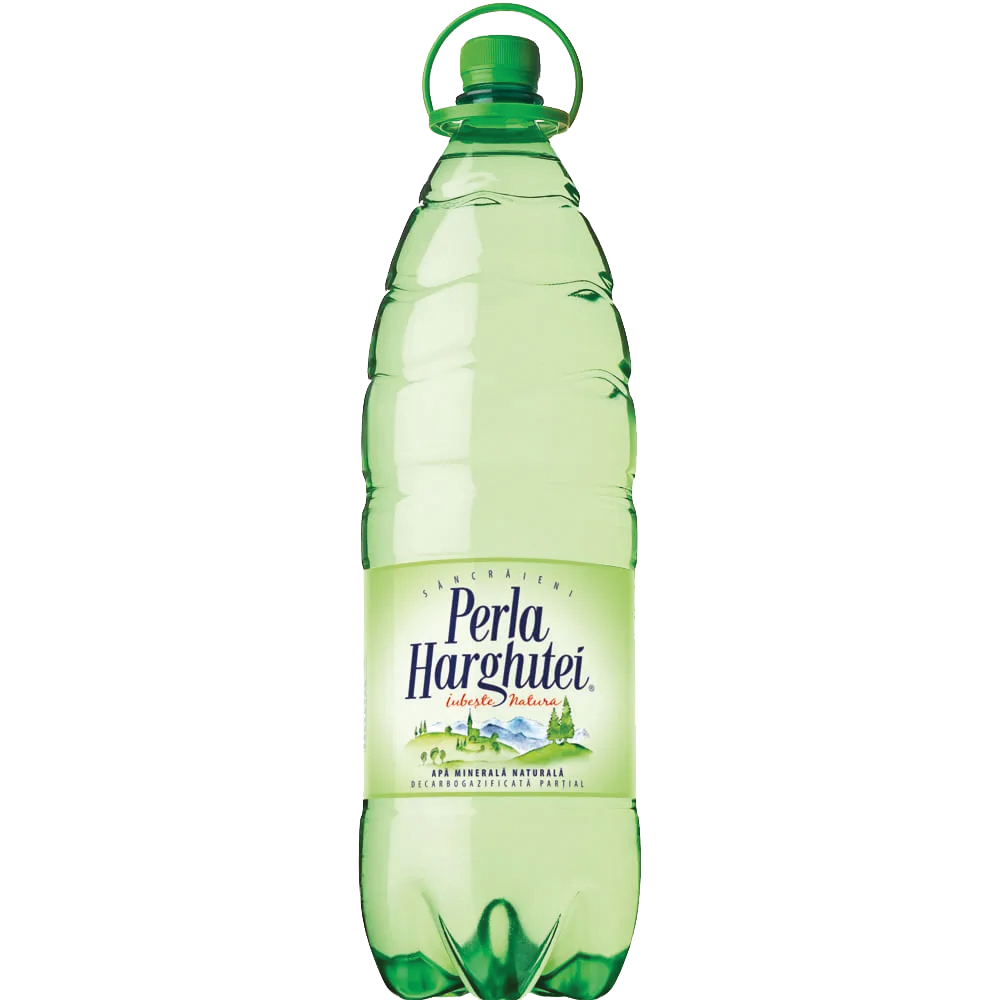 Apa minerala intens gazata 2L